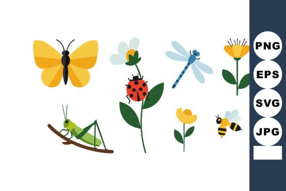 Colorful Insects and Flowers Graphics for Digital Selling