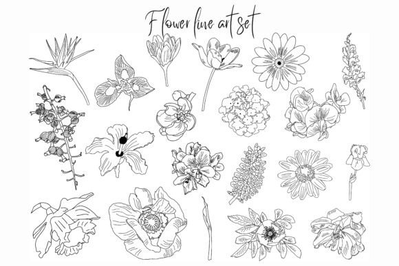 Flower Outline Vector Illustration Set for Crafting and Design