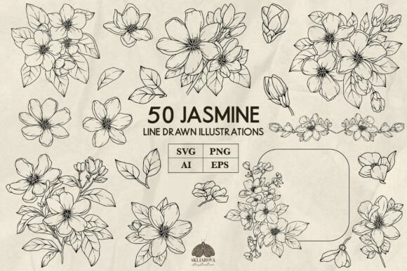 Jasmine Line Art Svg Png Eps Bundle Review