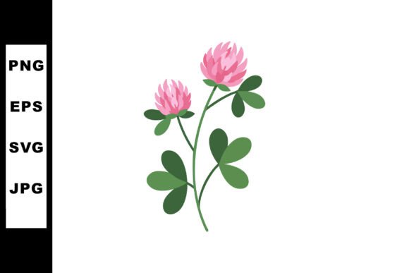 Pink Clover Flower Plant with Green Leaf Graphics