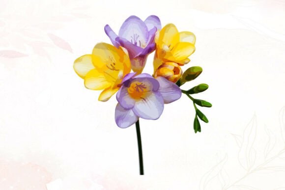 Purple and Yellow Freesia Graphics