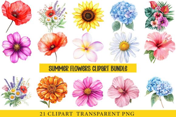 Summer Flowers Clipart Bundle for Graphic Designers
