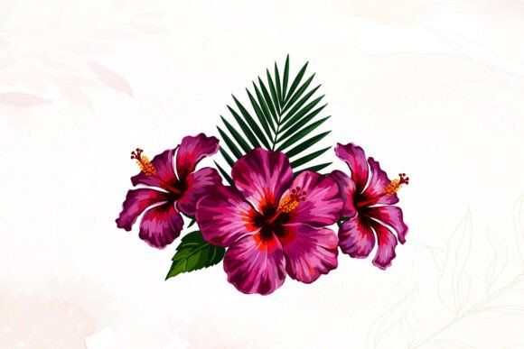 Tropical Hibiscus Flowers Art for Creative Projects