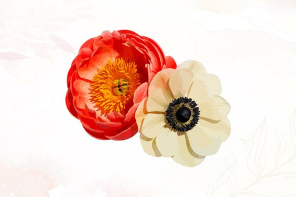 Vibrant Peony Anemone Flowers Duo